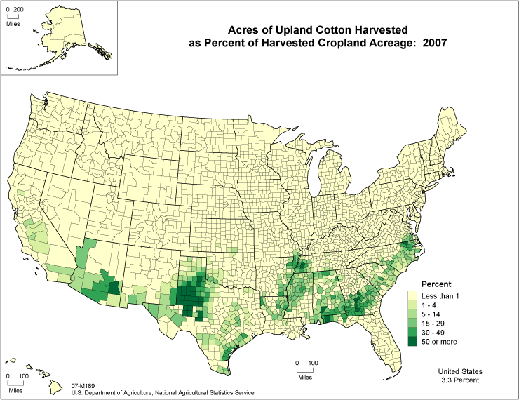 American cotton